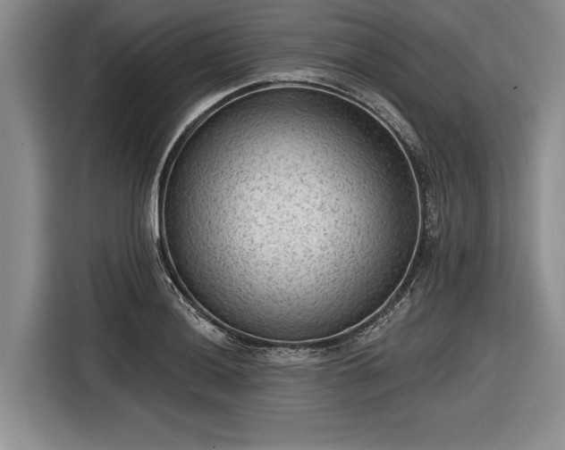 X0000116551036200912171345