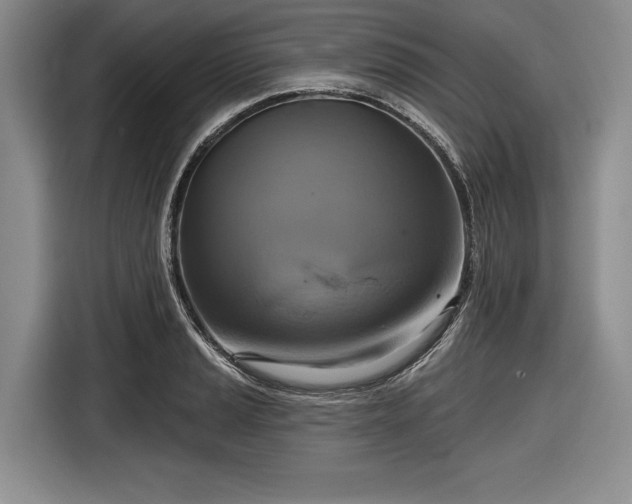 X0000116551037200912171345