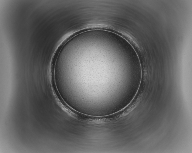 X0000116551038200912171345