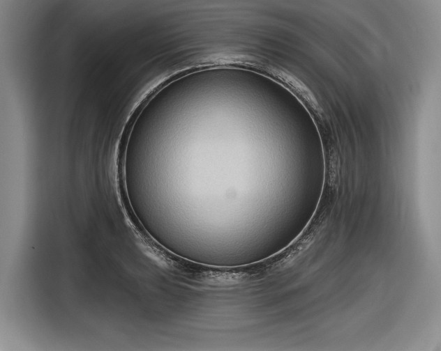 X0000116551039200912171345