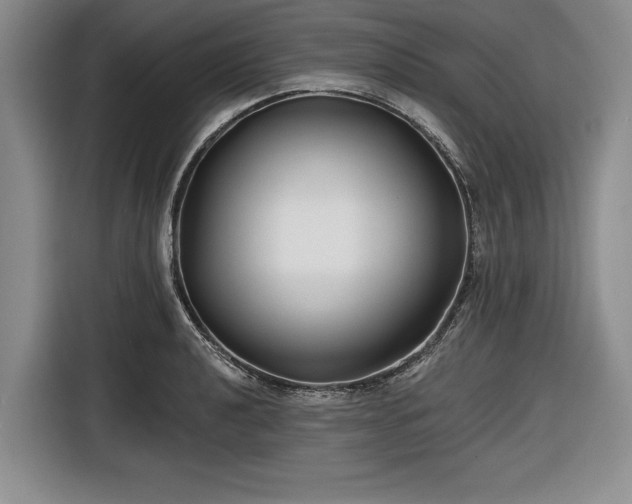 X0000116551040200912171345