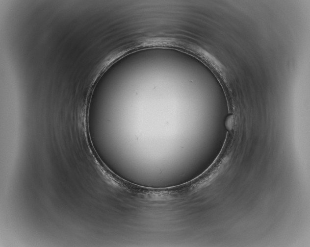 X0000116551041200912171345