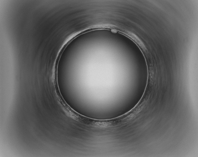 X0000116551044200912171345