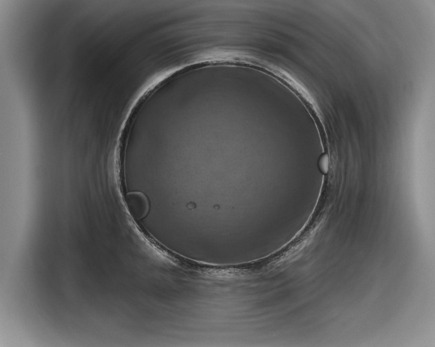 X0000116551045200912171345