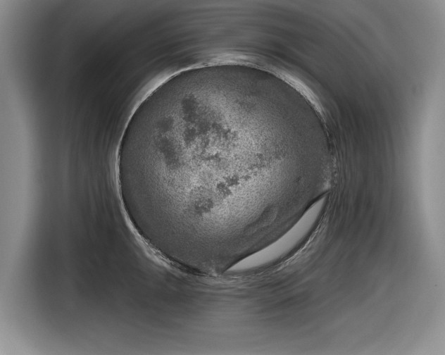 X0000116551047200912171345