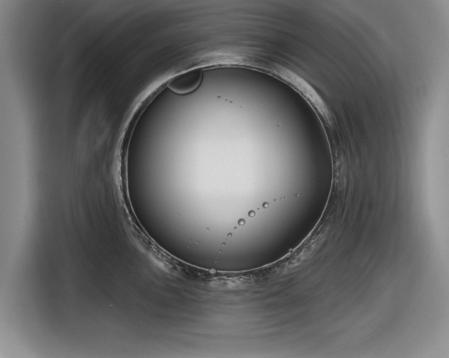 X0000116551051200912171345