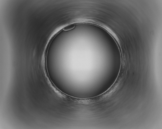 X0000116551053200912171345