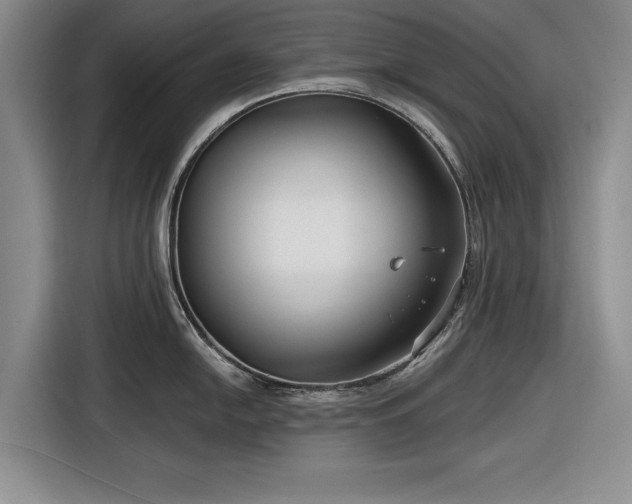 X0000116551054200912171345