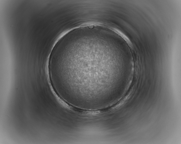 X0000116551055200912171345