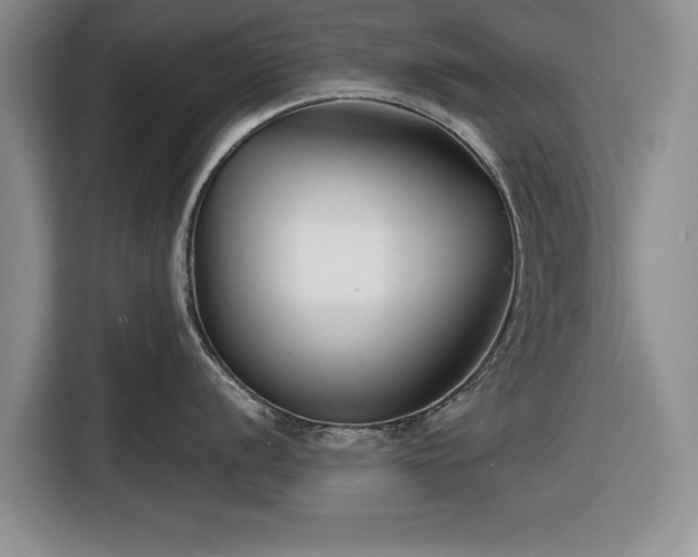 X0000116551056200912171345