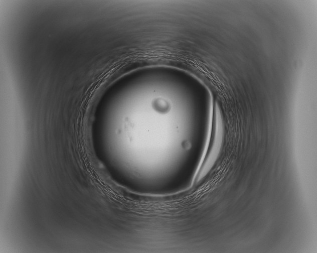 X0000116551057200912171344