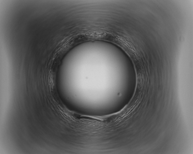 X0000116551058200912171344