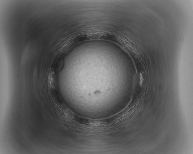 X0000116551059200912171344