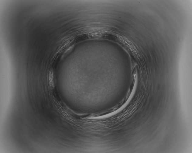 X0000116551060200912171344