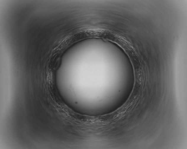 X0000116551061200912171344