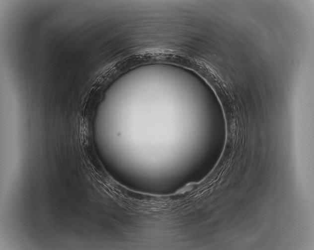 X0000116551062200912171344