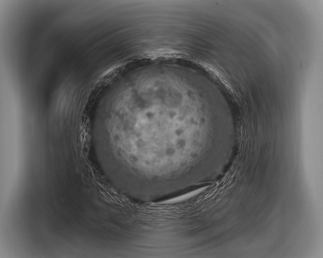 X0000116551063200912171344