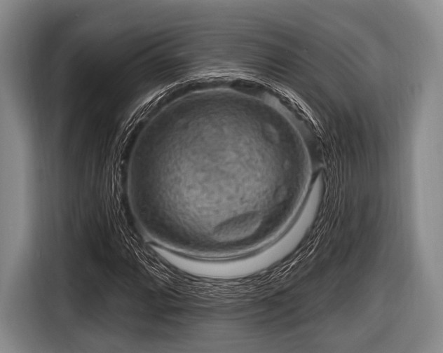 X0000116551064200912171344