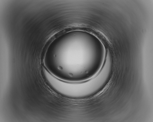 X0000116551065200912171344