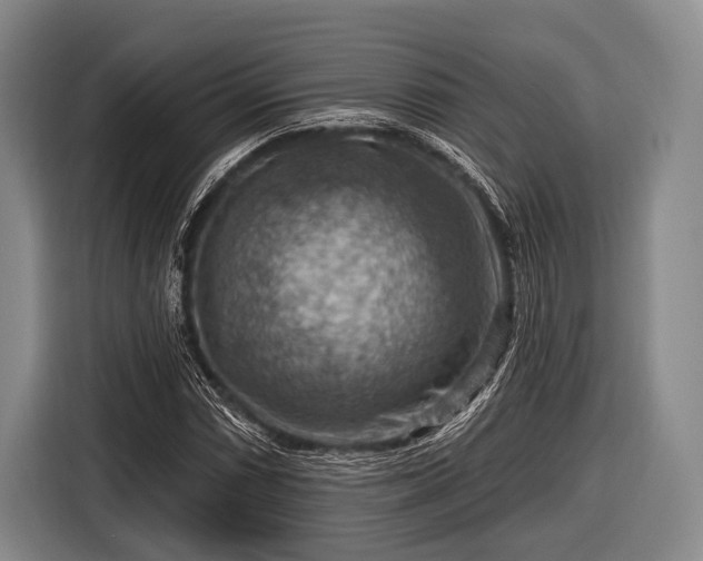 X0000116551066200912171344