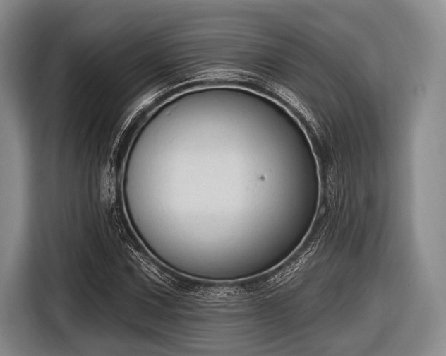 X0000116551067200912171344