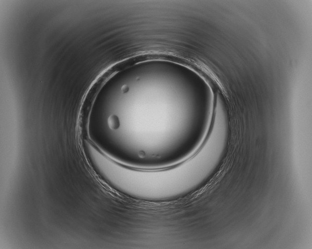 X0000116551068200912171344