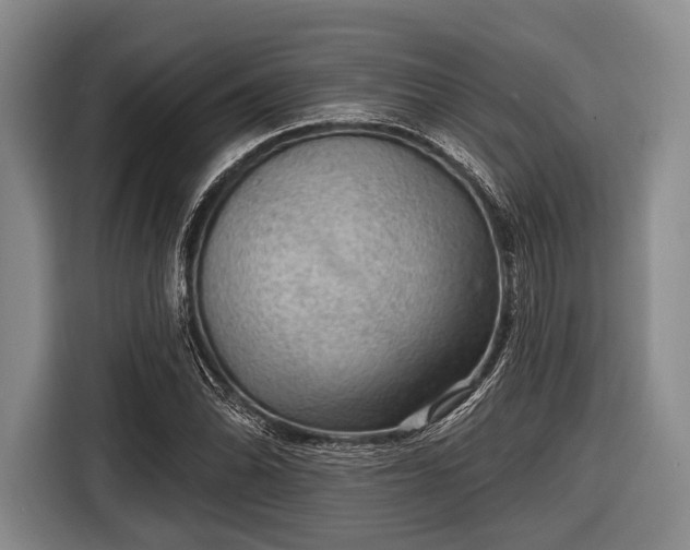 X0000116551070200912171344