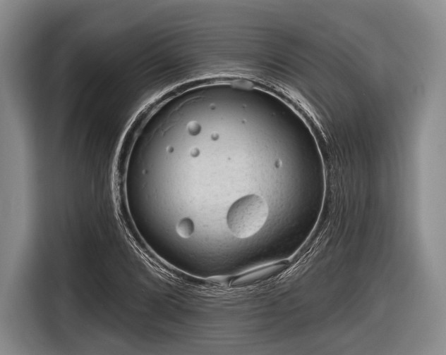 X0000116551072200912171344