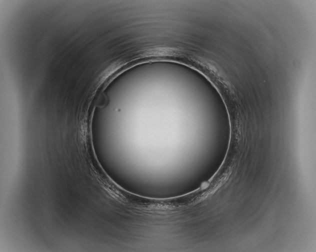 X0000116551073200912171344