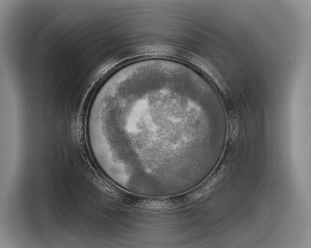 X0000116551074200912171344