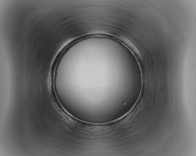 X0000116551076200912171344