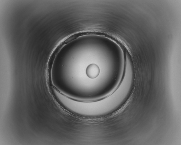 X0000116551077200912171344