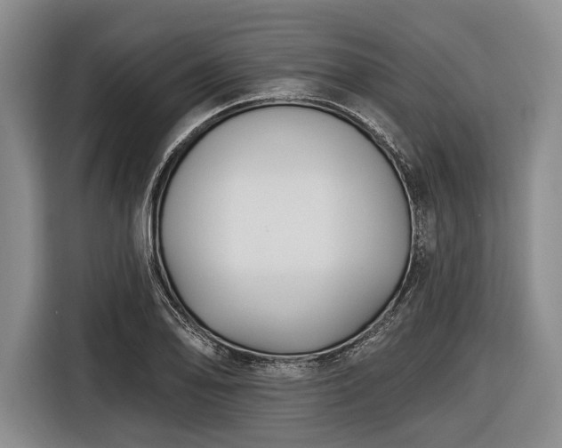 X0000116551078200912171344