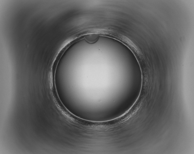 X0000116551079200912171344