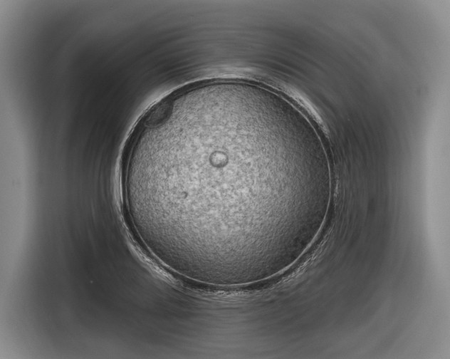 X0000116551080200912171344