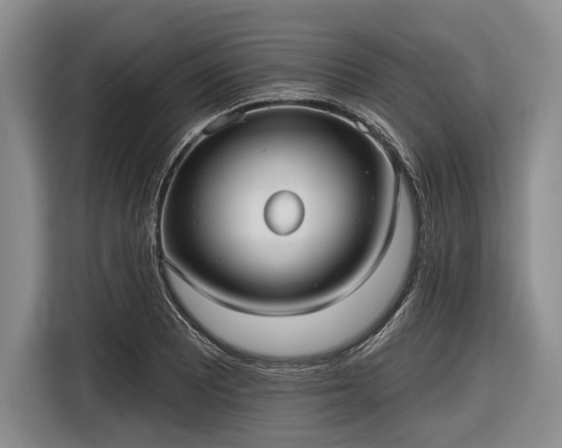 X0000116551081200912171344