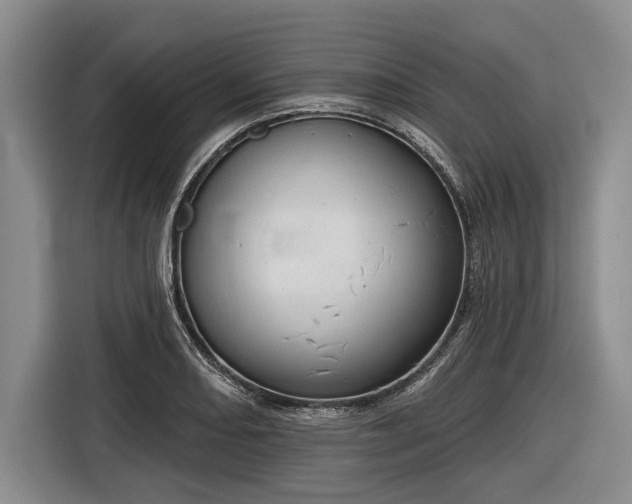 X0000116551082200912171344