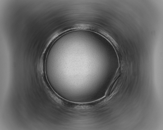 X0000116551083200912171344