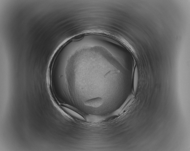 X0000116551084200912171344