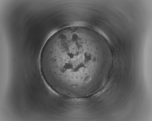 X0000116551087200912171344