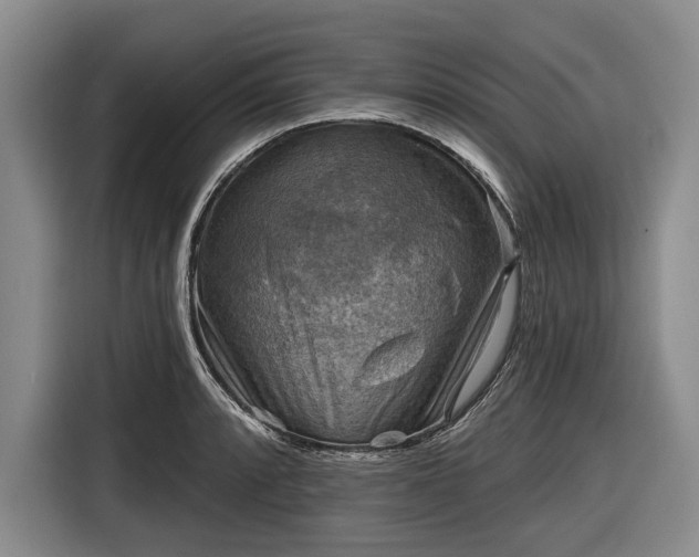 X0000116551088200912171344