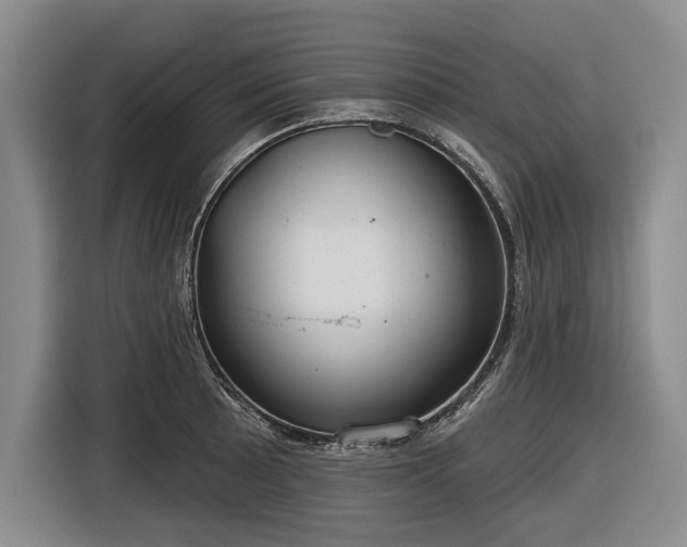 X0000116551089200912171344