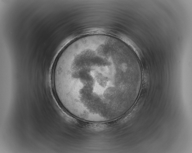 X0000116551090200912171344