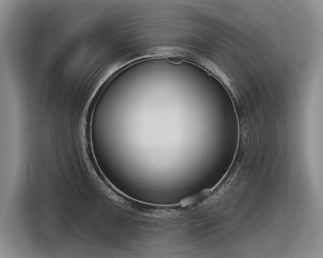 X0000116551091200912171344