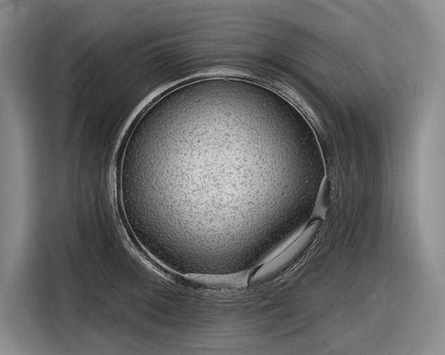 X0000116551092200912171344