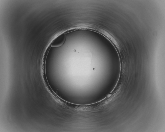 X0000116551093200912171344