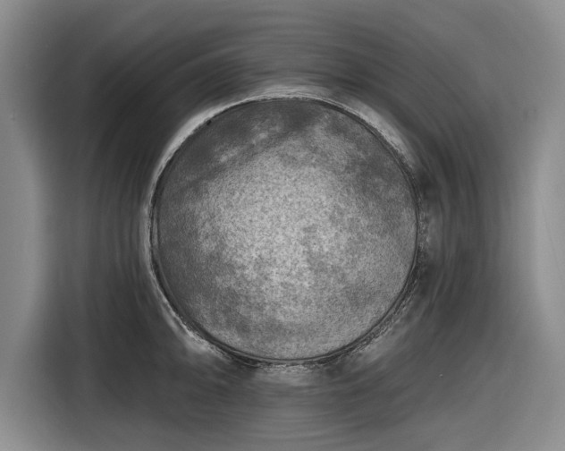 X0000116551094200912171344