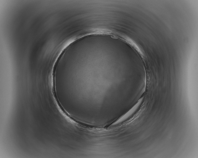 X0000116551095200912171344