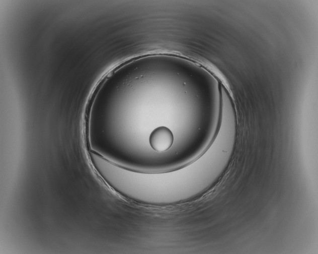 X0000116551096200912171344