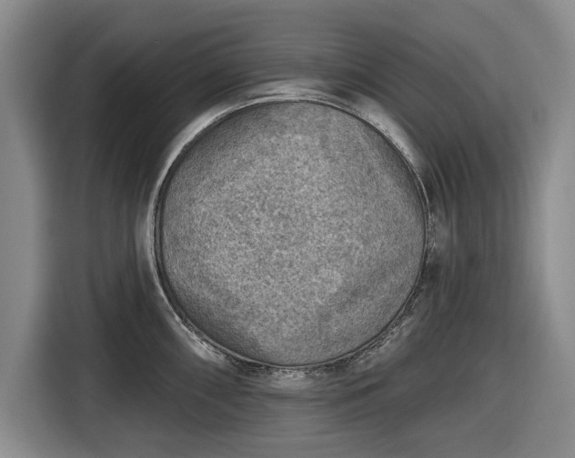 X0000116551098200912171344